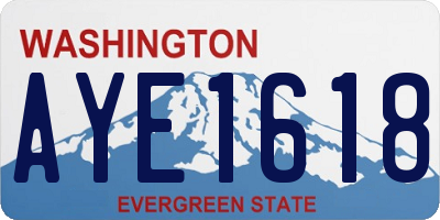 WA license plate AYE1618