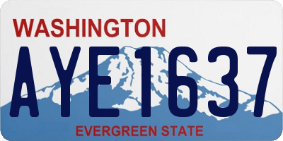 WA license plate AYE1637