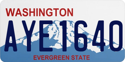 WA license plate AYE1640