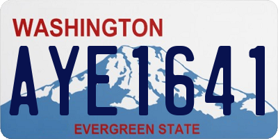 WA license plate AYE1641