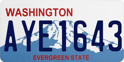 WA license plate AYE1643