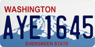WA license plate AYE1645