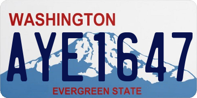 WA license plate AYE1647