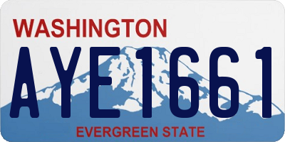 WA license plate AYE1661