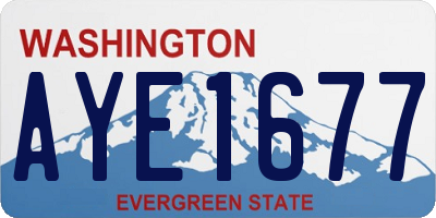 WA license plate AYE1677