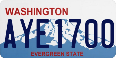 WA license plate AYE1700