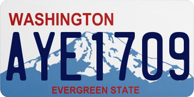 WA license plate AYE1709