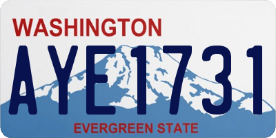 WA license plate AYE1731