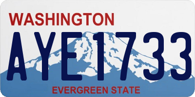 WA license plate AYE1733