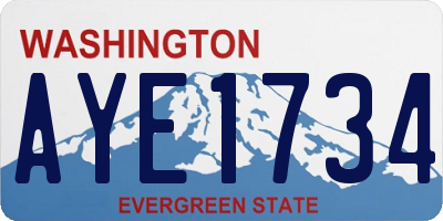 WA license plate AYE1734