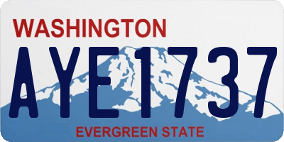 WA license plate AYE1737