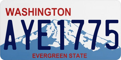 WA license plate AYE1775