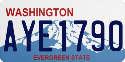 WA license plate AYE1790