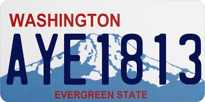 WA license plate AYE1813