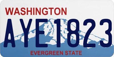 WA license plate AYE1823