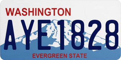 WA license plate AYE1828