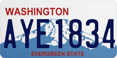 WA license plate AYE1834