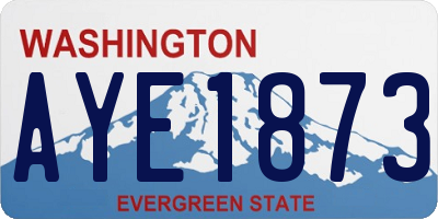 WA license plate AYE1873