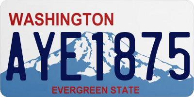 WA license plate AYE1875