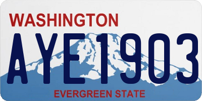 WA license plate AYE1903