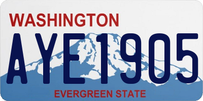WA license plate AYE1905