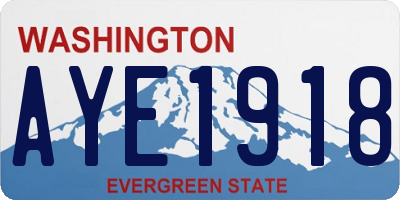 WA license plate AYE1918