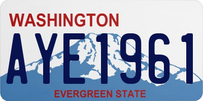 WA license plate AYE1961