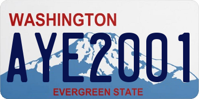 WA license plate AYE2001