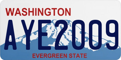 WA license plate AYE2009