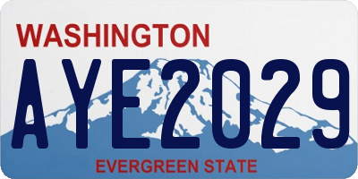 WA license plate AYE2029