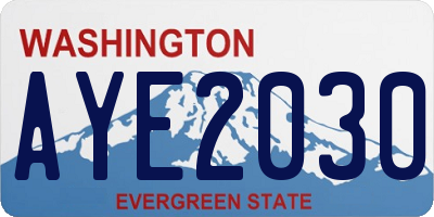 WA license plate AYE2030