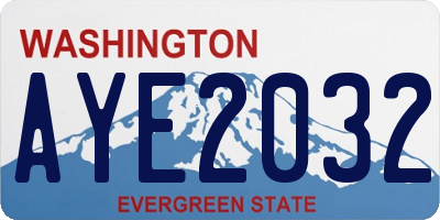 WA license plate AYE2032