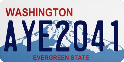 WA license plate AYE2041