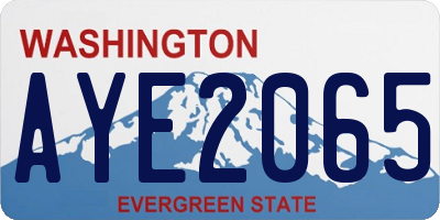 WA license plate AYE2065