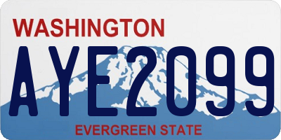 WA license plate AYE2099
