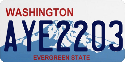 WA license plate AYE2203