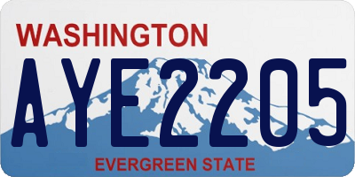 WA license plate AYE2205