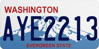 WA license plate AYE2213