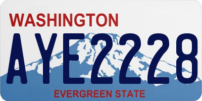 WA license plate AYE2228