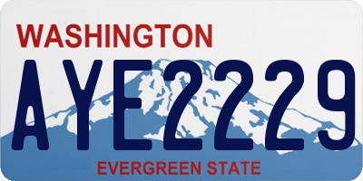 WA license plate AYE2229