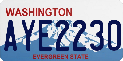 WA license plate AYE2230