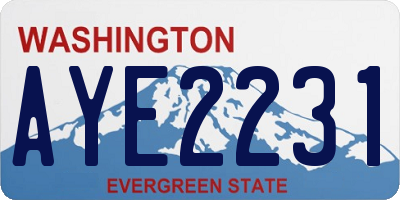 WA license plate AYE2231