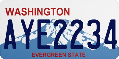 WA license plate AYE2234