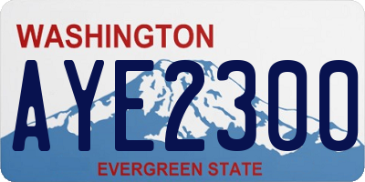 WA license plate AYE2300