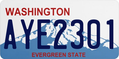 WA license plate AYE2301