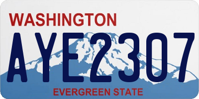 WA license plate AYE2307