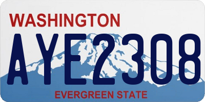 WA license plate AYE2308