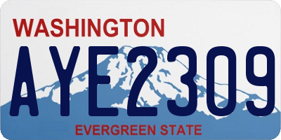 WA license plate AYE2309