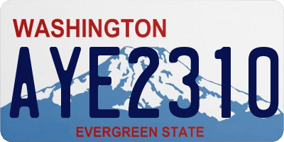 WA license plate AYE2310