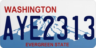 WA license plate AYE2313